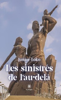 Les sinistrés de l’au-delà - Junior Loko - ebook