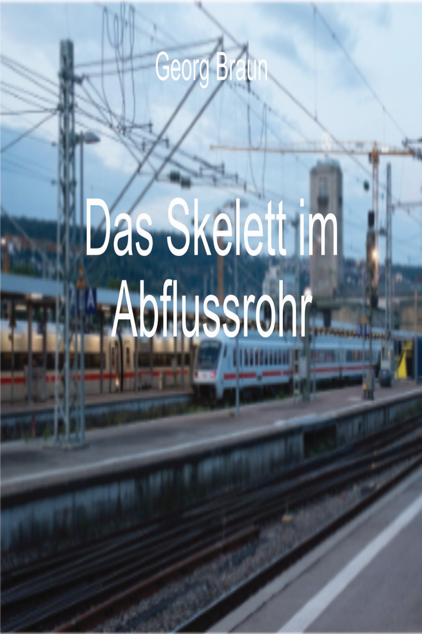 Das Skelett im Abflussrohr - Georg Braun - ebook
