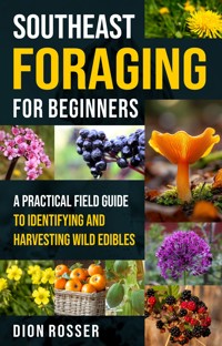 Southeast Foraging for Beginners - Dion Rosser - ebook