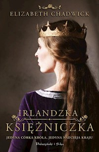 Irlandzka księżniczka - Elizabeth Chadwick - książka
