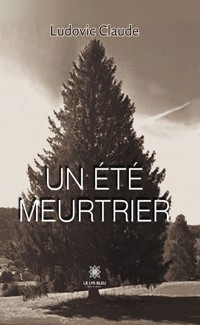 Un été meurtrier - Ludovic Claude - ebook
