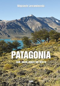 Patagonia. Tam, gdzie rodzi się wiatr - Wojciech Lewandowski - ebook