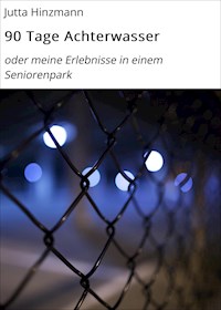90 Tage Achterwasser - Jutta Hinzmann - ebook