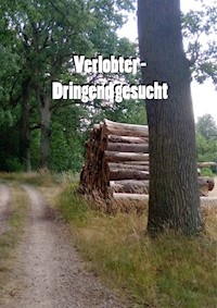 Verlobter- Dringend gesucht - Christine Stutz - ebook