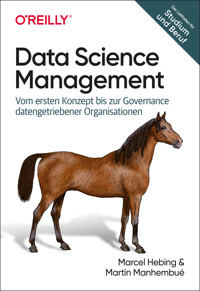 Data Science Management - Marcel Hebing - ebook