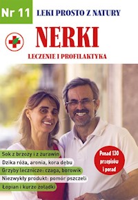 Nerki leczenie i profilaktyka - Wiszniew Wladimir, Diakonowa Lidia, Dubin Walentin - książka