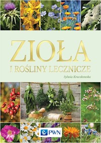 Zioła i rośliny lecznicze - Kraczkowska Sylwia - książka