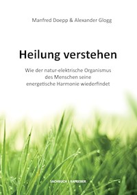 Heilung verstehen - Alexander Glogg - ebook