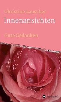 Innenansichten - Christine Lauscher - ebook