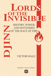 Djinn — Lords Of The Invisible - Victor Hale /virginia Santos - ebook