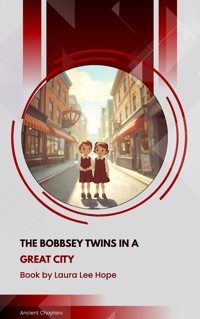 The Bobbsey Twins in a Great City - Laura Lee Hope - ebook