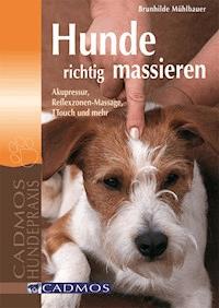 Hunde richtig massieren - Brunhilde Mühlbauer - ebook