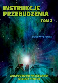Instrukcje przebudzenia Tom 3 - Igor Witkowski - książka