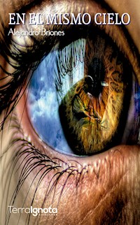 En el mismo cielo - Alejandro Briones - ebook