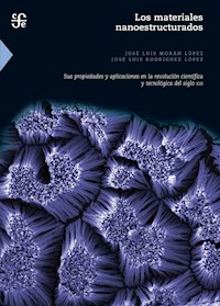 Los materiales nanoestructurados - José Luis Morán Lopez - ebook
