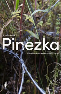 Pinezka. Historie z granicy polsko-białoruskiej - Urszula Glensk - ebook + książka