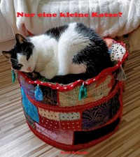 Nur eine kleine Katze? - Axel Schade - ebook