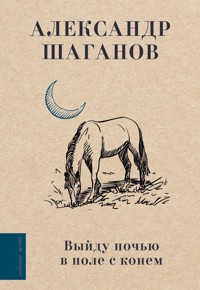Выйду ночью в поле с конем - Александр Шаганов - ebook