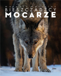 Bieszczadzcy mocarze - Matysiak Mateusz - książka