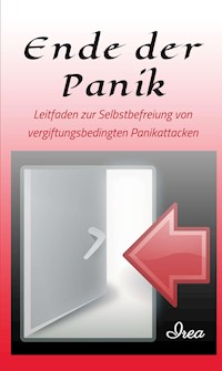 Ende der Panik - I R E A - ebook