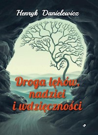 Droga lęków, nadziei i wdzięczności - Danielewicz Henryk - książka