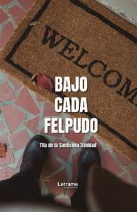 Bajo cada felpudo - Tita de la Santísima Trinidad - ebook