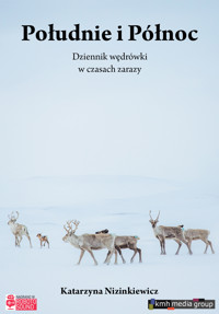 Południe i Północ. Dziennik wędrówki w czasach zarazy - Nizinkiewicz Katarzyna - audiobook