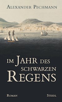Im Jahr des schwarzen Regens - Alexander Pechmann - ebook