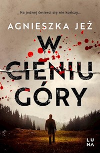 W cieniu góry - Agnieszka Jeż - książka