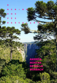 O Menino Dos Pés Descalços - Andréia Morena De Murbach - ebook