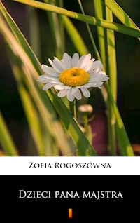 Dzieci pana majstra - Zofia Rogoszówna - ebook + audiobook