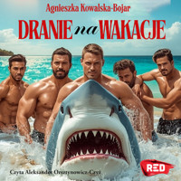 Dranie na wakacje - Agnieszka Kowalska-Bojar - ebook + audiobook