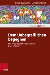 Dem Unbegreiflichen begegnen - Eduard Zwierlein - ebook