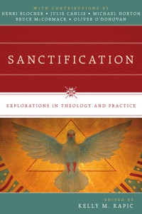 Sanctification -  - ebook