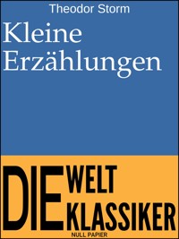 Kleine Erzählungen - Theodor  Storm - ebook