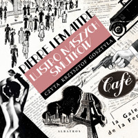 Lustro naszych smutków - Pierre Lemaitre - ebook + audiobook + książka