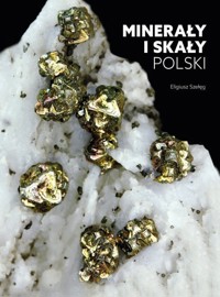 Minerały i skały Polski - Szełęg Eligiusz - książka