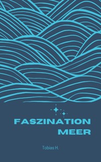 Faszination Meer - Tobias Hopfmüller - ebook