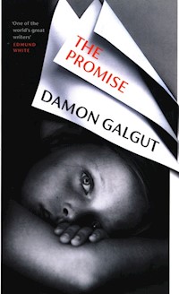 The Promise - Damon Galgut - książka