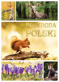 Przyroda Polski - zbiorowa praca - książka