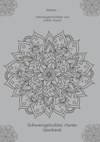 Haremsgeschichten aus 1001 Nacht - Master I - ebook