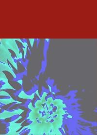 Römerfund - harald hohensinner - ebook