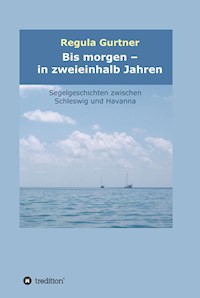 Bis morgen - in zweieinhalb Jahren - Regula Gurtner - ebook