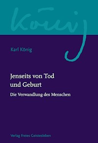 Jenseits von Tod und Geburt - Karl König - ebook
