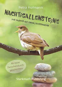 Nachtigallensteine - Petra Hofmann - ebook