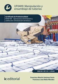 Manipulación y ensamblaje de tuberías. IMAI0108 - Francisco José Mola Morales - ebook