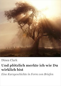 Und plötzlich merkte ich, wie Du wirklich bist - Dinea Clark - ebook