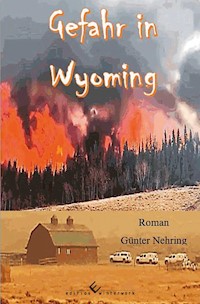 Gefahr in Wyoming - Günter Nehring - ebook