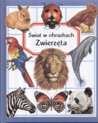 Zwierzęta. Świat w obrazkach -  Émilie Beaumont - książka