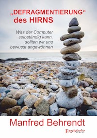 „DEFRAGMENTIERUNG“ des HIRNS - Manfred Behrendt - ebook